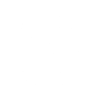 Customizable Templates